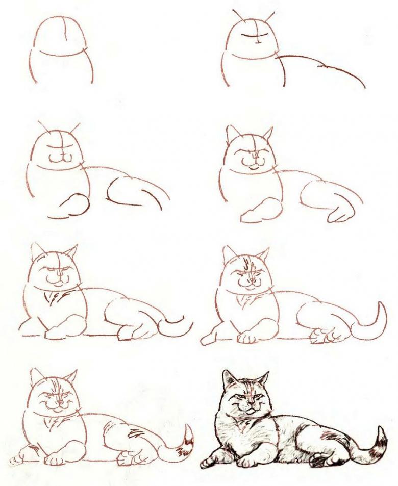 50 cách vẽ mèo đơn giản nhất