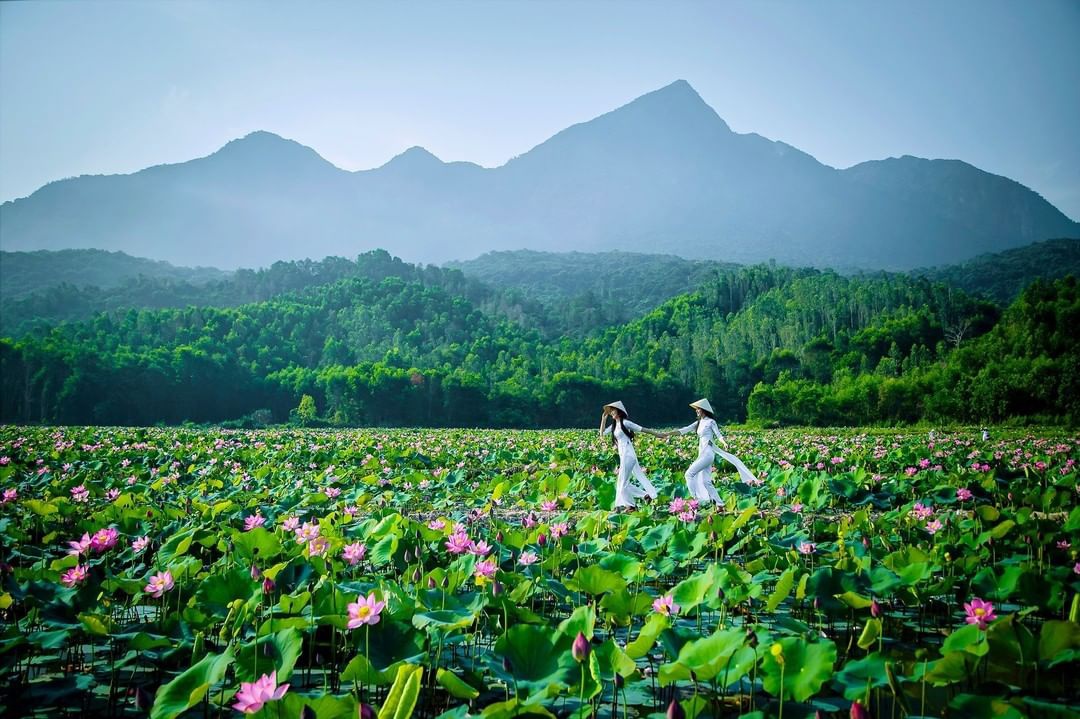 Hình ảnh đẹp thiên nhiên Việt Nam chất lượng cao, sắc nét