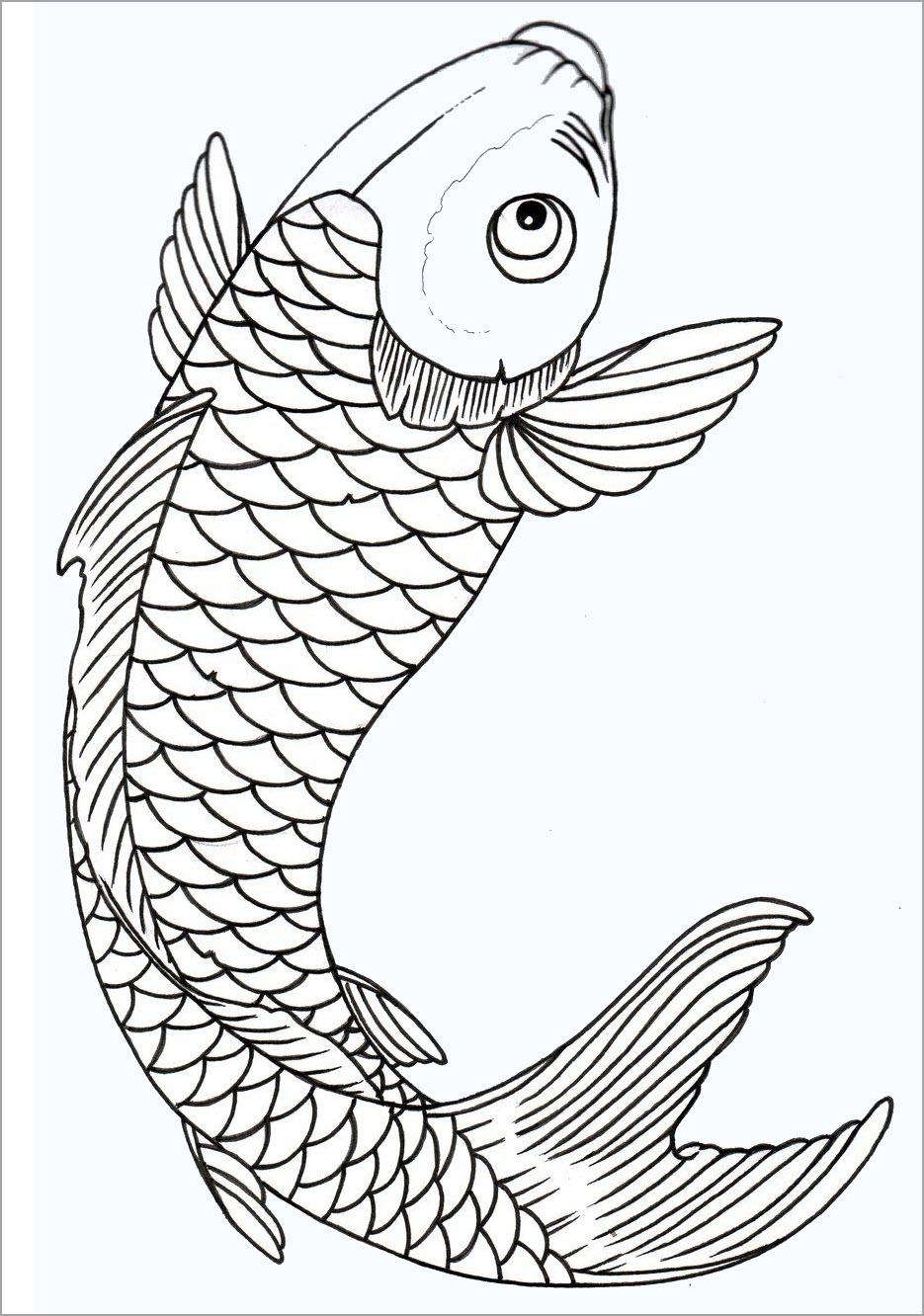 Hình ảnh Dòng Vẽ Cá Chép Mực Minh Họa PNG Miễn Phí Tải Về  Lovepik