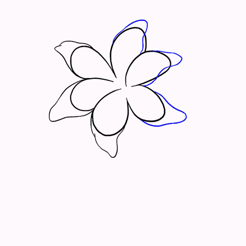 Vẽ đường gân cho cánh hoa