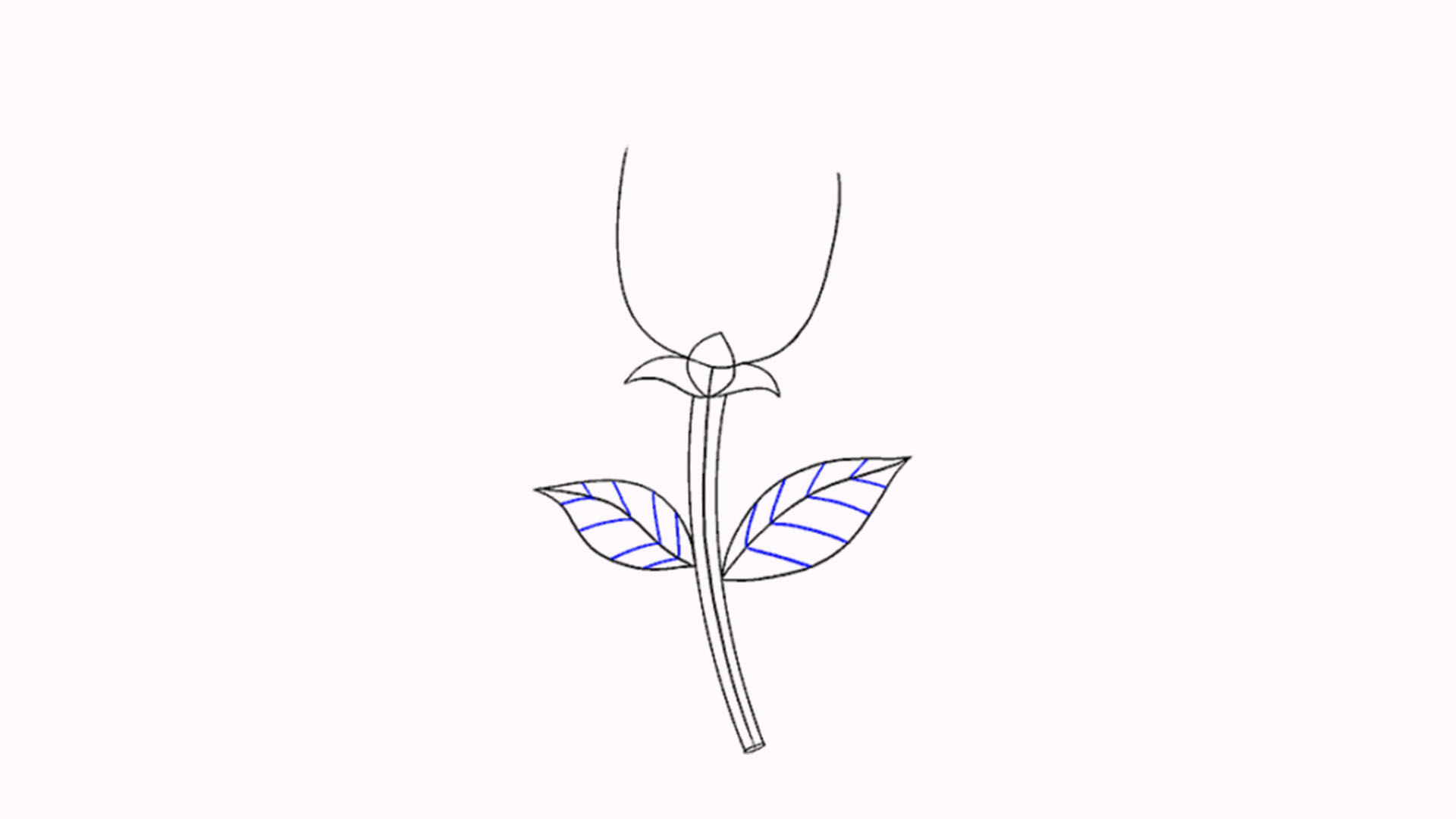 Vẽ các đường cong ở phía trên tạo thành cánh hoa hoàn chỉnh