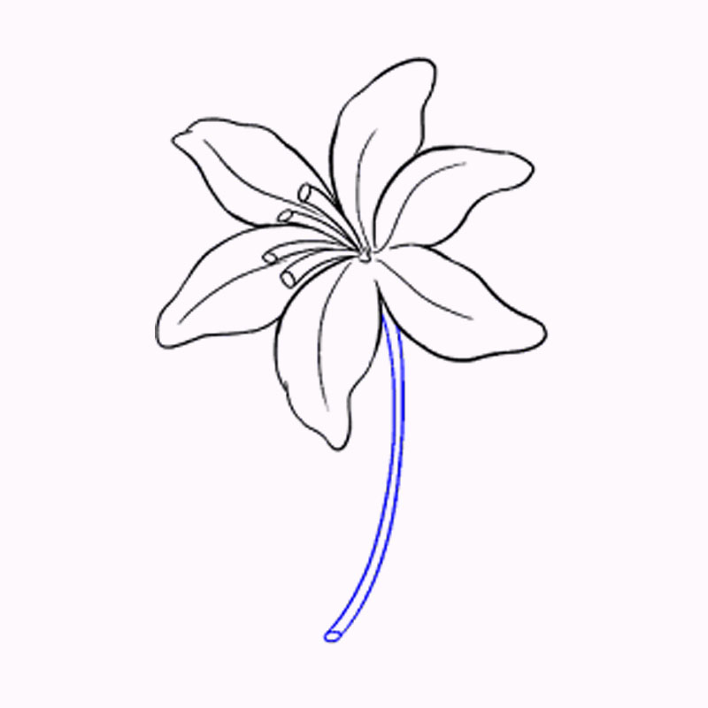 Xem hơn 100 ảnh về hình vẽ hoa lá đơn giản  NEC
