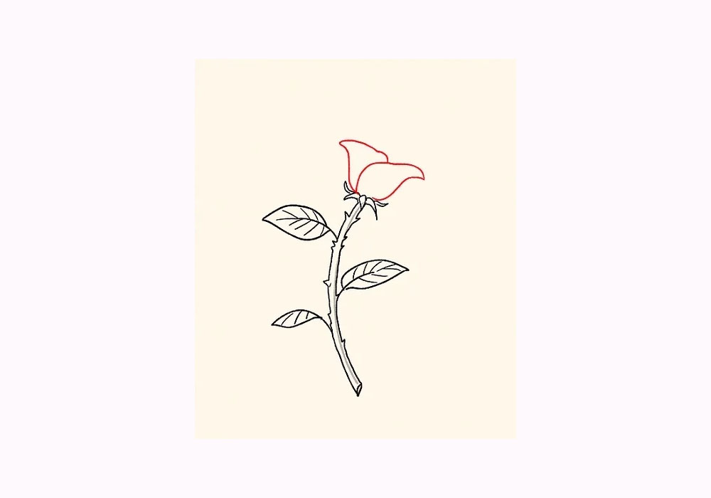 Tranh Vẽ Hoa Hồng Đẹp Đơn Giản Đủ Màu Sắc Bút Vẽ  TH Điện Biên Đông