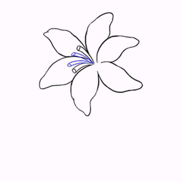 Vẽ các chấm trên chánh hoa