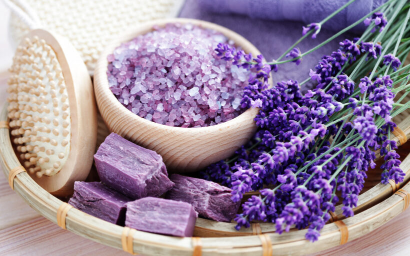 background spa hoa violet