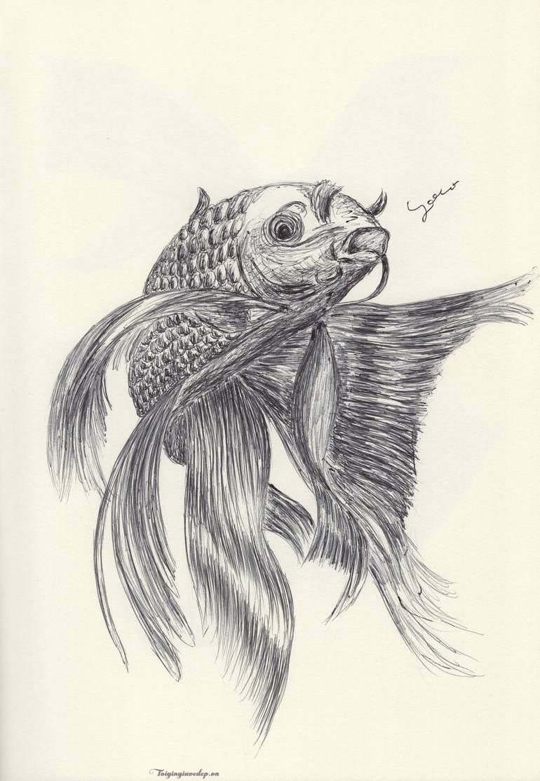 Cách Vẽ Cá Chép Đơn Giản, Hình Vẽ Cá Chép Đẹp, Dễ Vẽ Nhất
