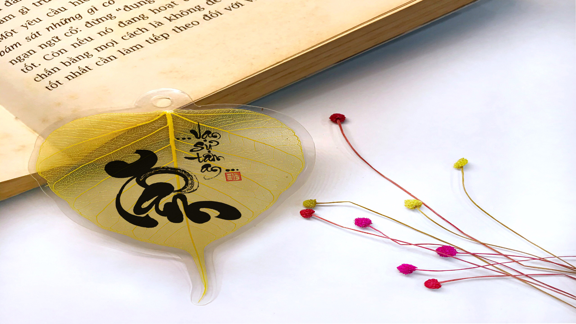 Cách uốn cây sung hình chữ tâm thư pháp  How to bend bonsai accrding to  Vietnamese calligrapphy  YouTube