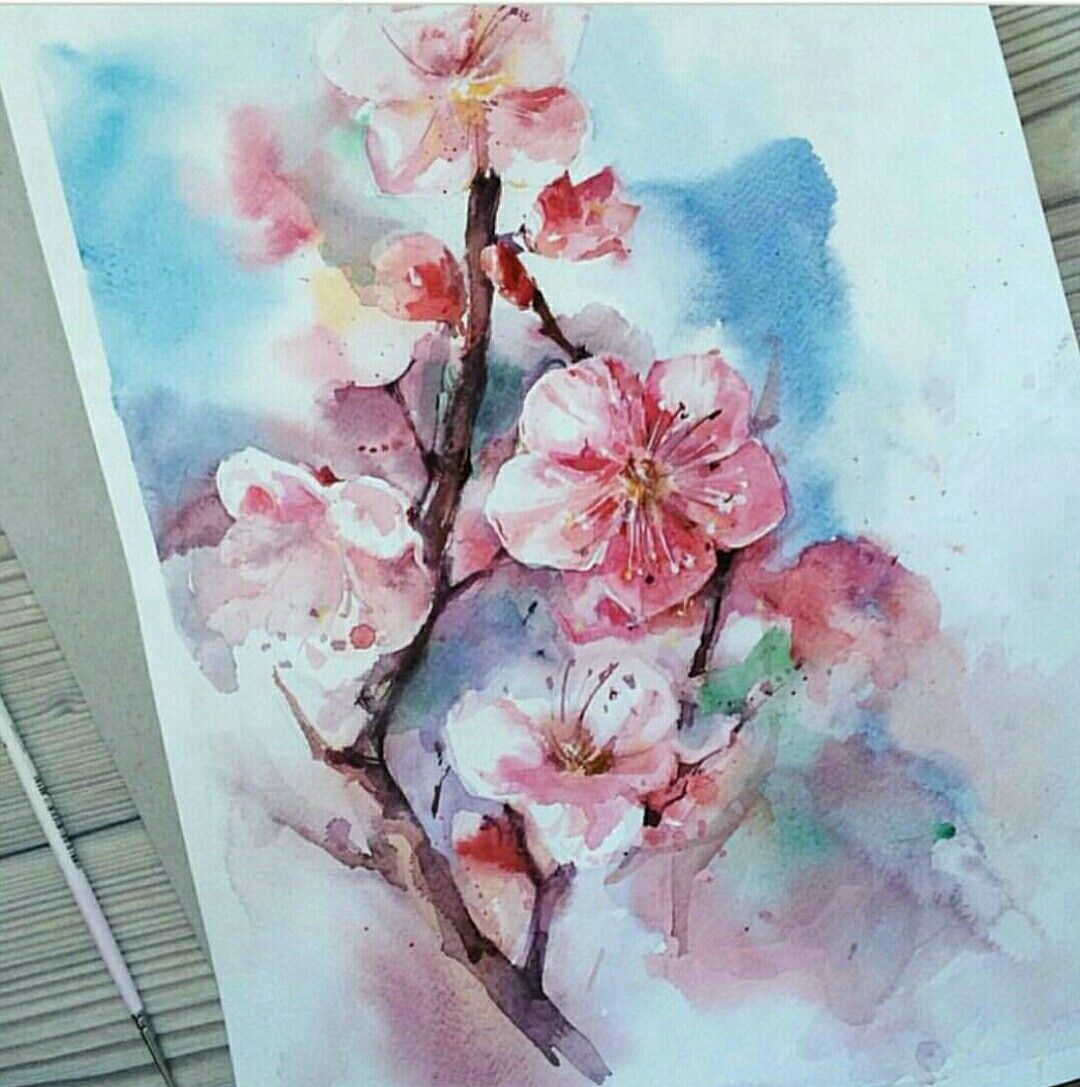 How to Draw Cherry Blossom by Pencil  Cách vẽ hoa anh đào bằng Bút Chì   YouTube