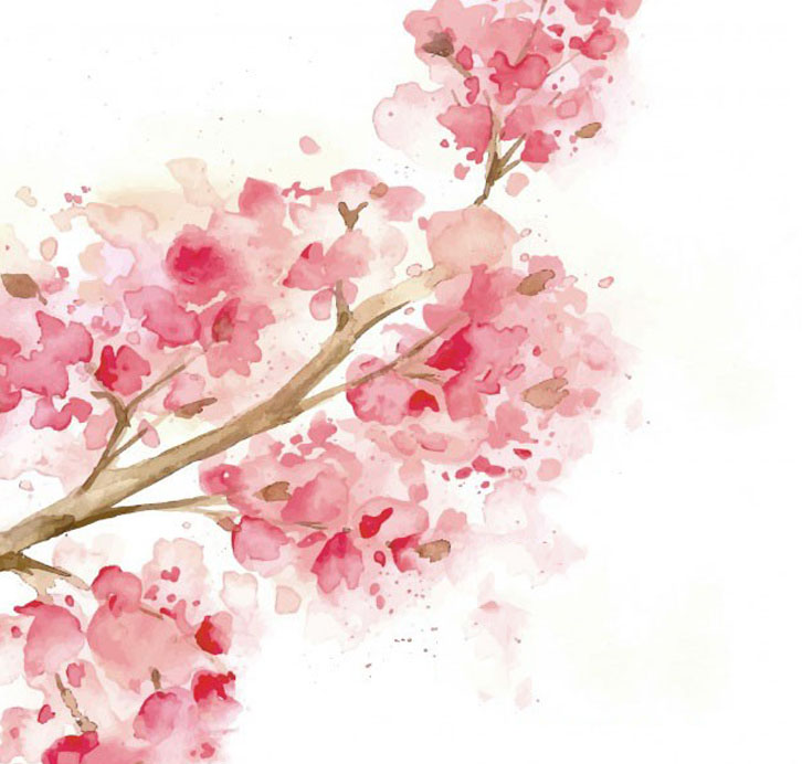 How to draw beautiful simple peach blossoms  Drawing peach blossom New  Years Day  192  YouTube
