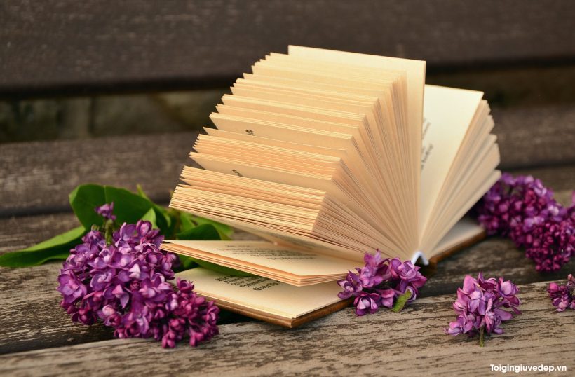 Hình ảnh cuốn sách mở ra đẹp, đầy cảm hứng