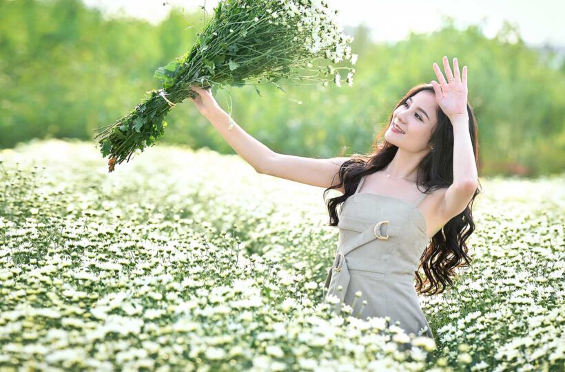 Hình ảnh góc nghiêng nữ trên cánh đồng hoa