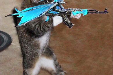 ảnh chế mèo FF cầm súng AK rồng xanh