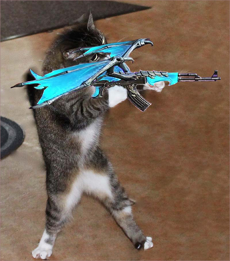 Bild einer Katze, die eine Waffe hält ff