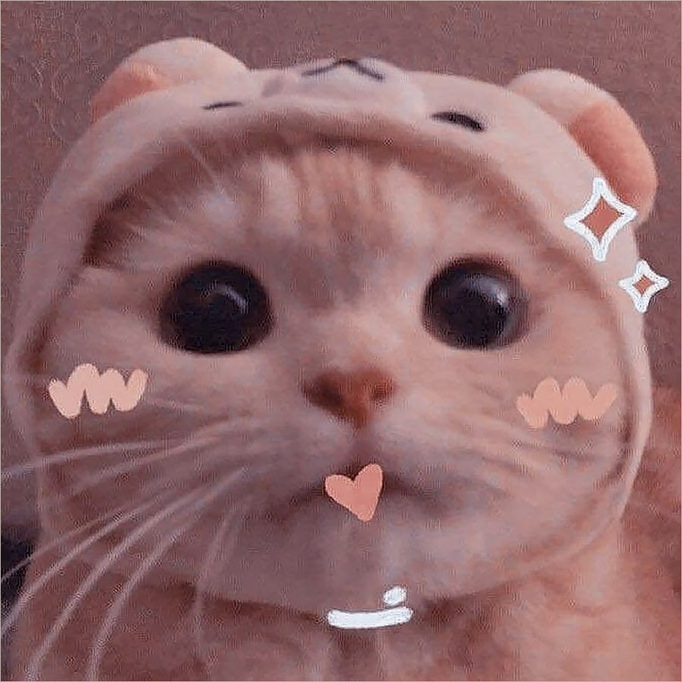 Hình Ảnh Mèo Cute NGẦU Dễ Thương NGHIỆN ĐẤY ĐỪNG NHÌN