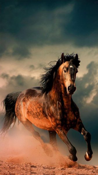 Hình ảnh ngựa lửa 3D đẹp nhất VFOVN