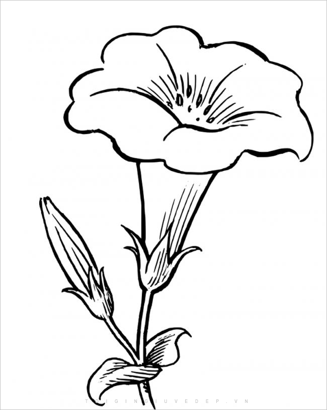 Xem hơn 48 ảnh về hình vẽ hoa hướng dương đơn giản  NEC