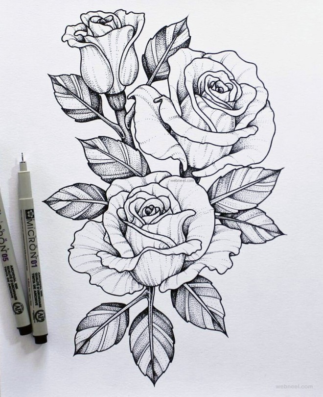 Hình vẽ các loài hoa bằng bút chì  Phần 7