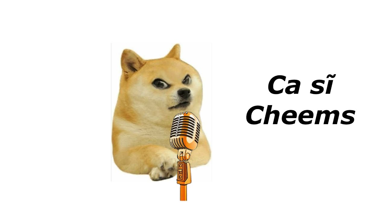 Chú chó nguyên gốc của Meme Cheems nổi tiếng