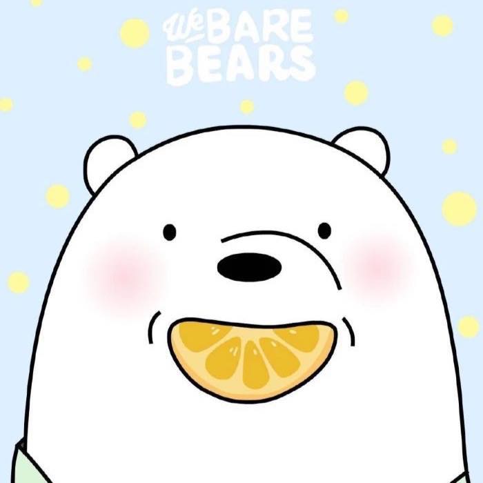 Top 95 về avatar gấu trắng  damrieduvn
