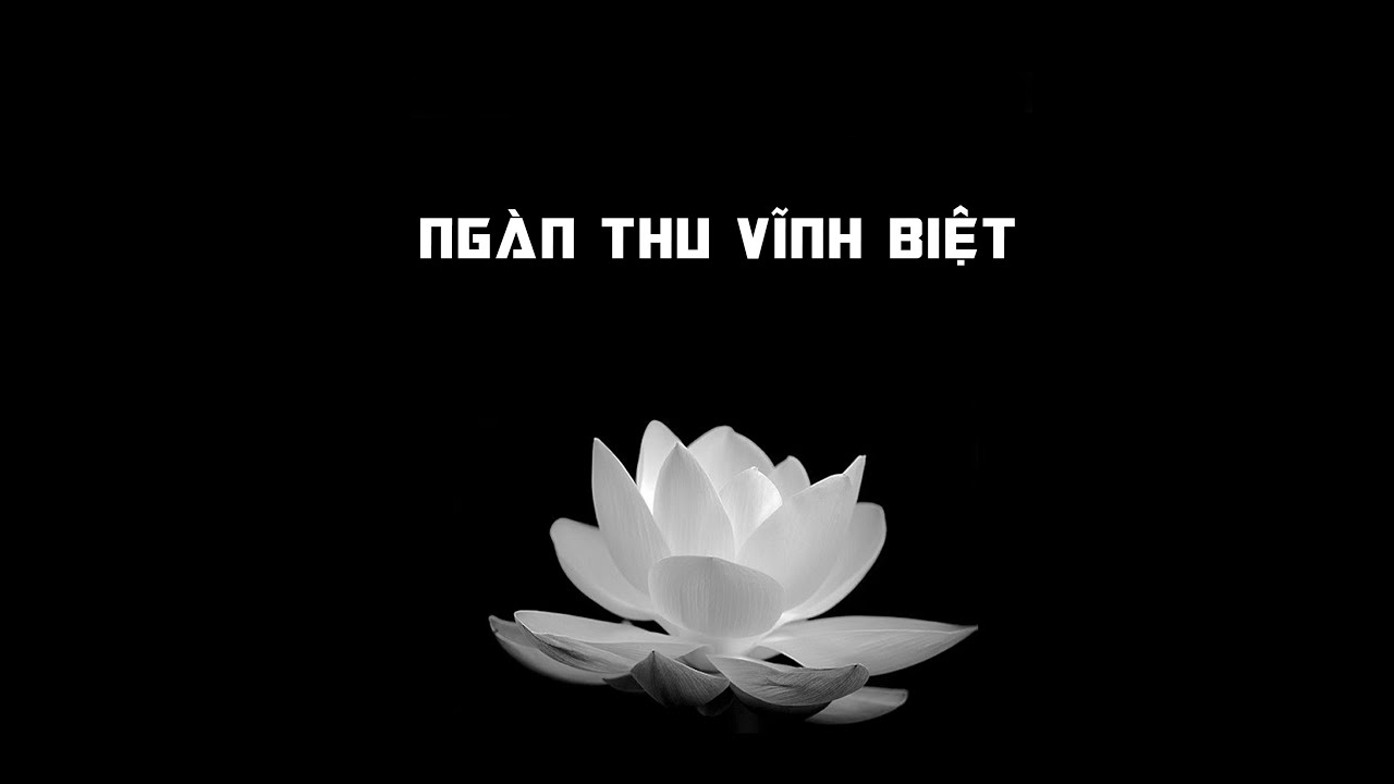 99 Avatar Tang Lễ Rơi Nước Mắt Cho Nhà Có Tang