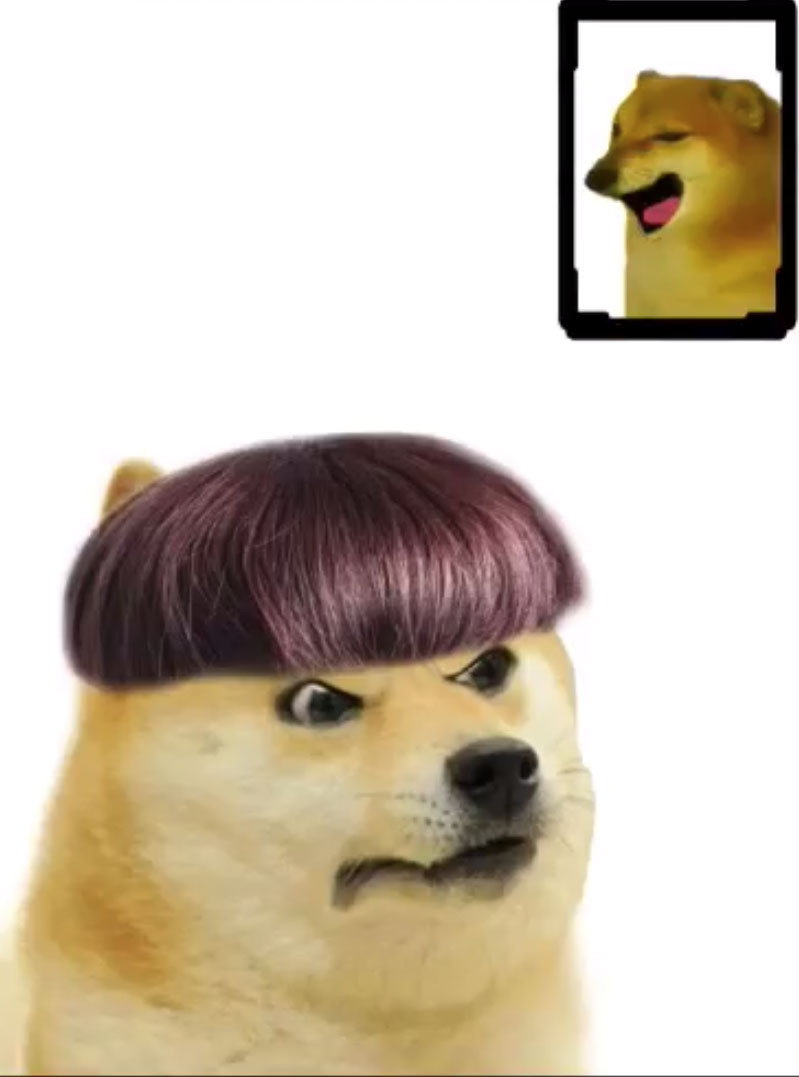 Buff Doge vs Cheems Meme  Imgflip