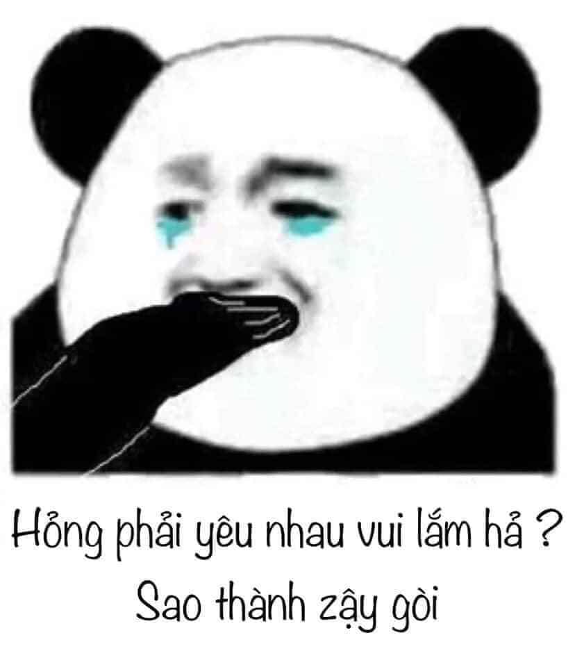 111+ Ảnh Meme Gấu Trúc Weibo Bựa, Tấu Hài Cười Vỡ Bụng