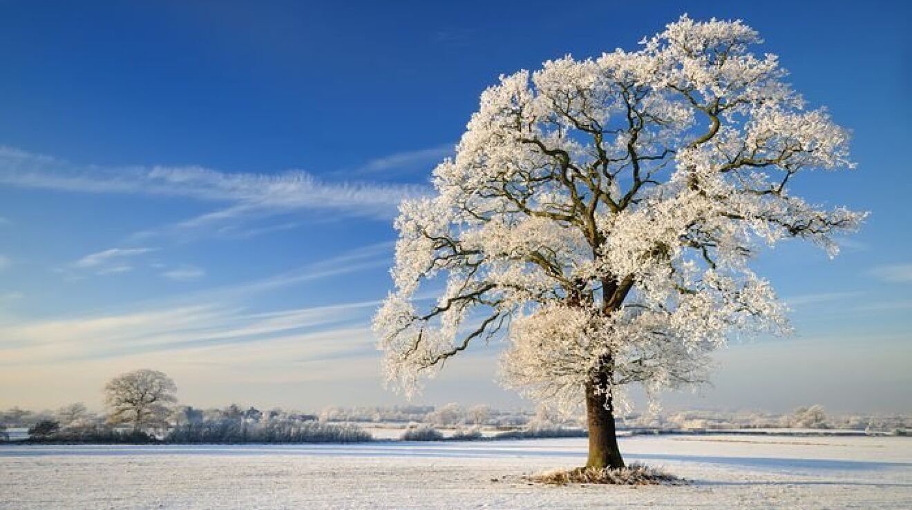 Những hình ảnh tuyết rơi mùa đông đẹp nhất trên khắp thế giới HỘI KỶ LỤC GIA VIỆT NAM TỔ CHỨC KỶ LỤC VIỆT NAMVIETKINGS