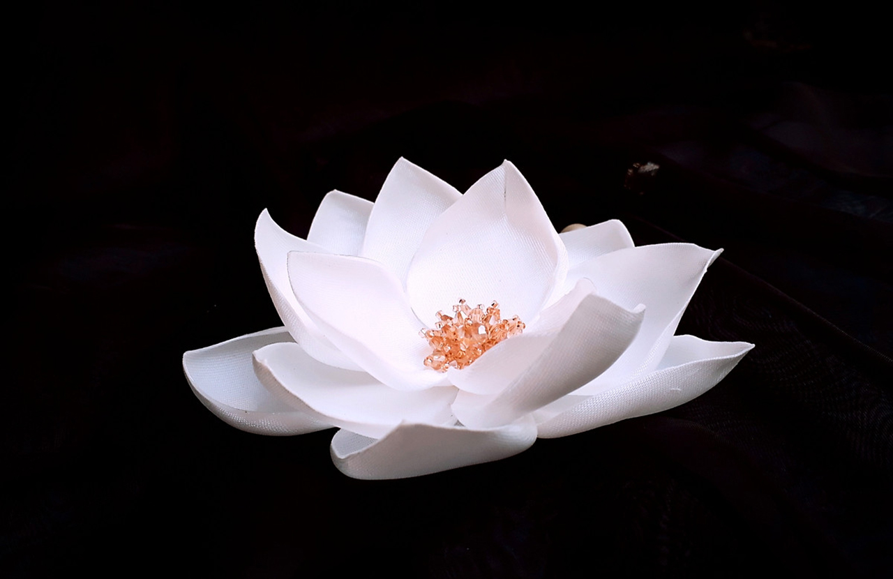 Những hình ảnh hình nền hoa sen trắng đẹp Nhất định nên sử dụng
