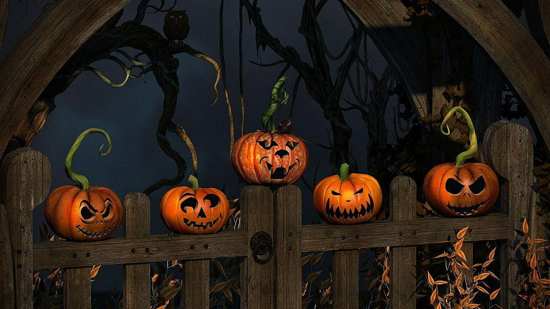 Giường tầng sắt đạo cụ của những bức ảnh Halloween ma mị Nội Thất Xuân Hòa