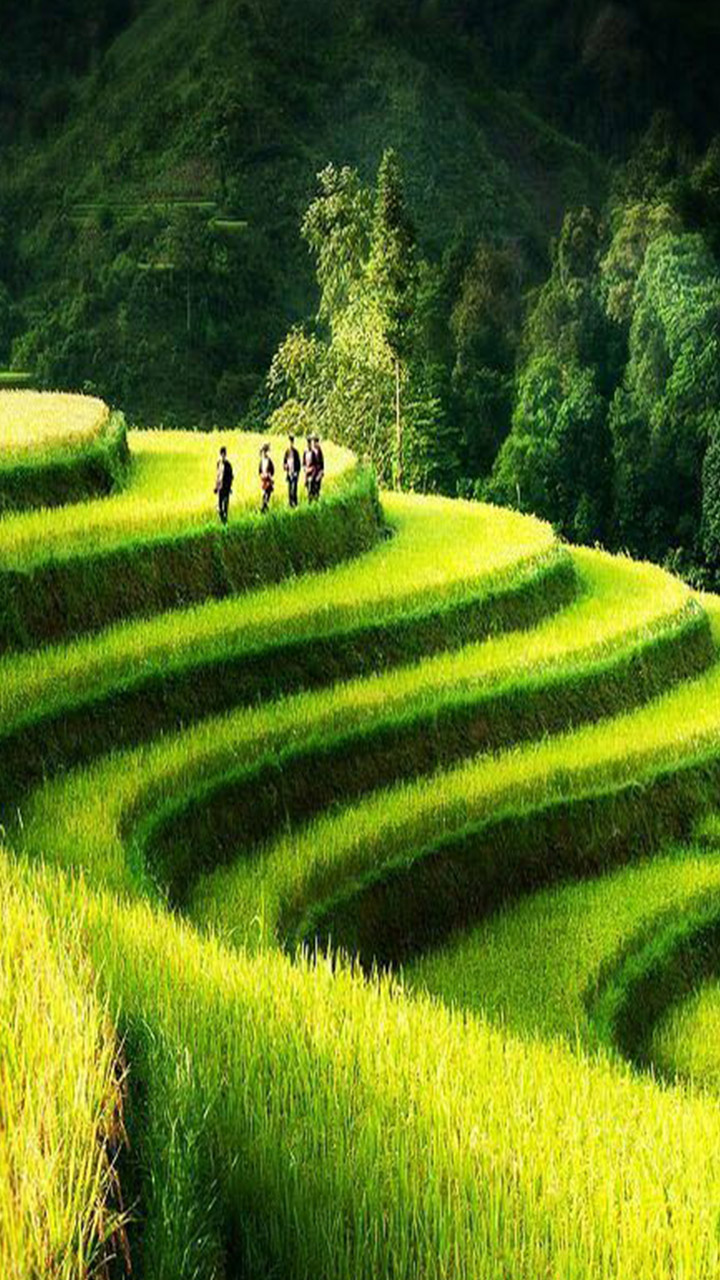 Hình ảnh quê hương Việt Nam tuyệt đẹp khiến bạn ngất ngây Tin tức Người Việt Nam