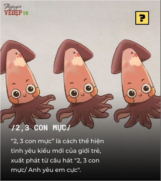 2 3 con mực là gì