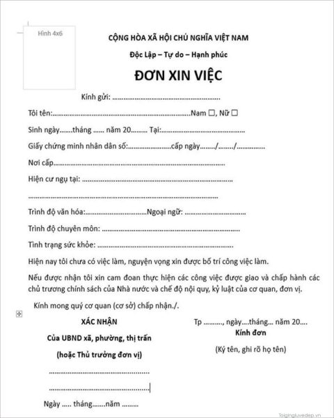 Mẫu đơn xin việc